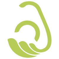 Avokado Clinic
